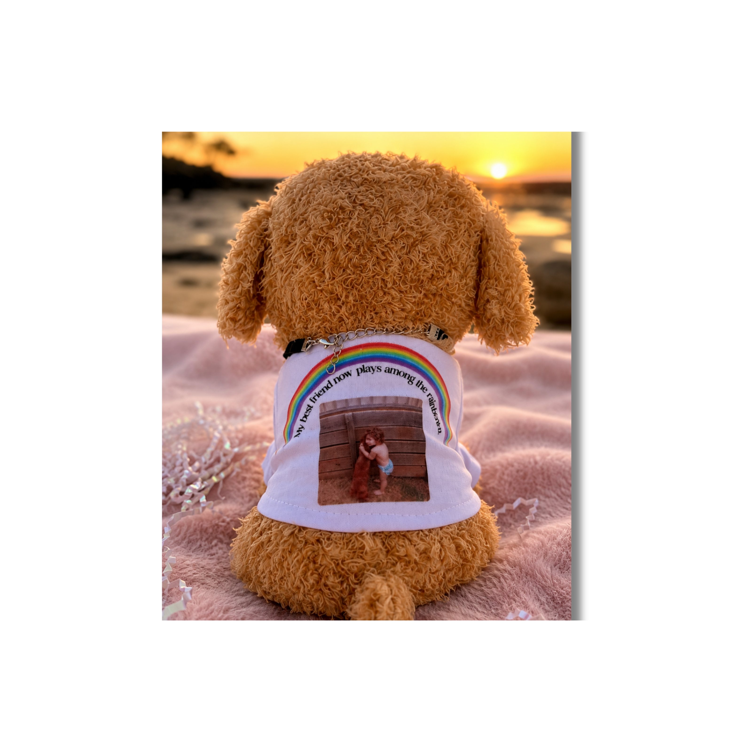 Personalised Cuddle Comfort Puppys