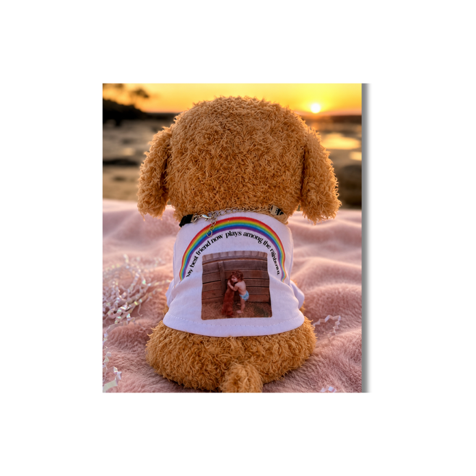 Personalised Cuddle Comfort Puppys