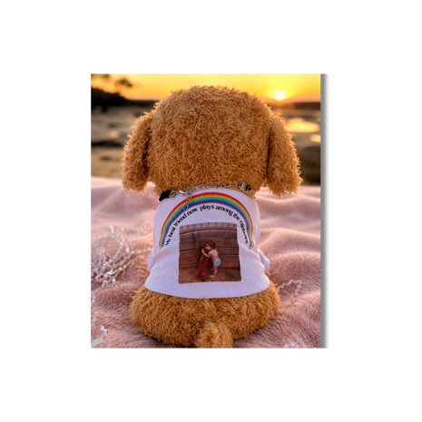 Personalised Cuddle Comfort Puppys