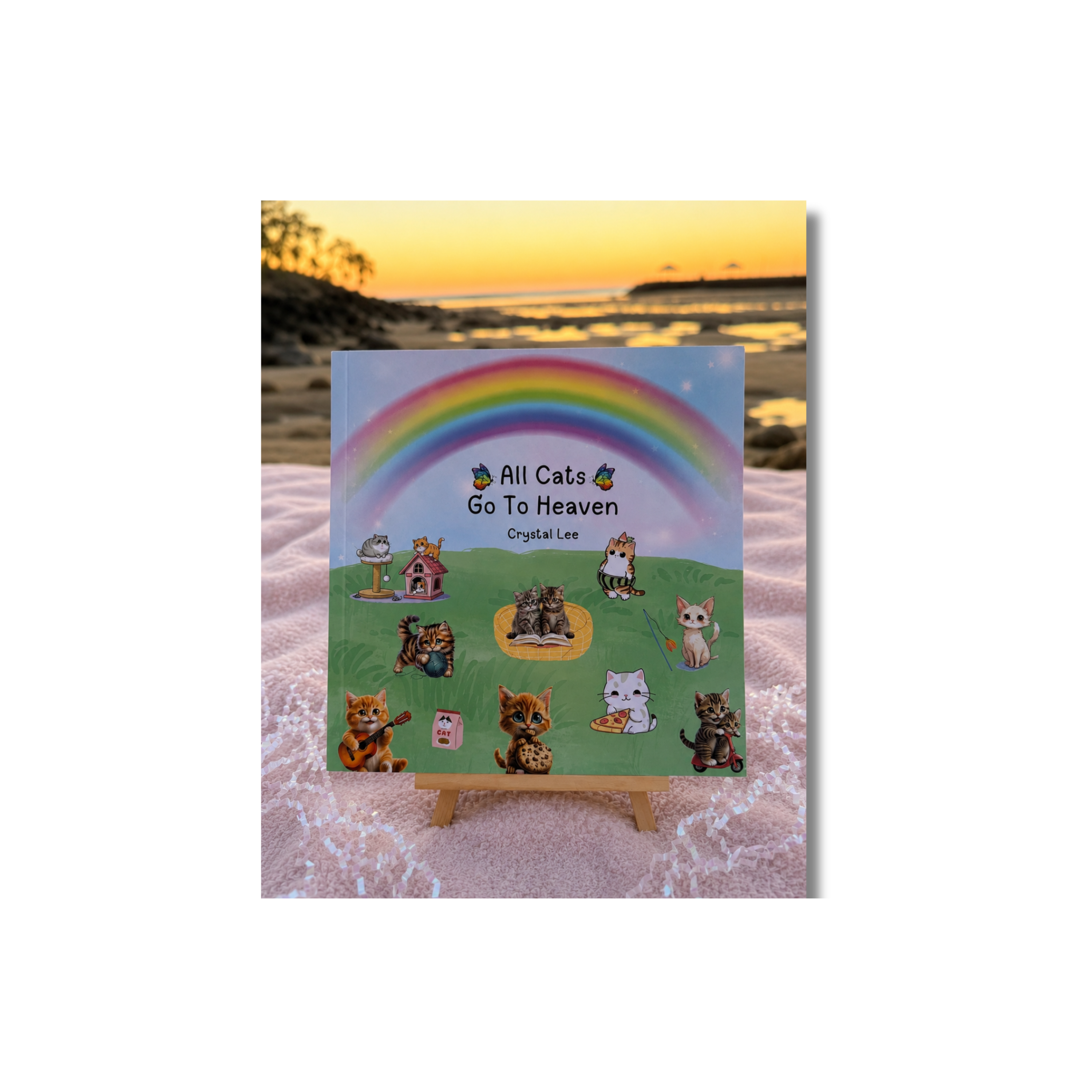 All Cats Go To Heaven - Children's Greif Book
