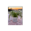 Personalised Memorial Planter | Custom Keepsake Gift