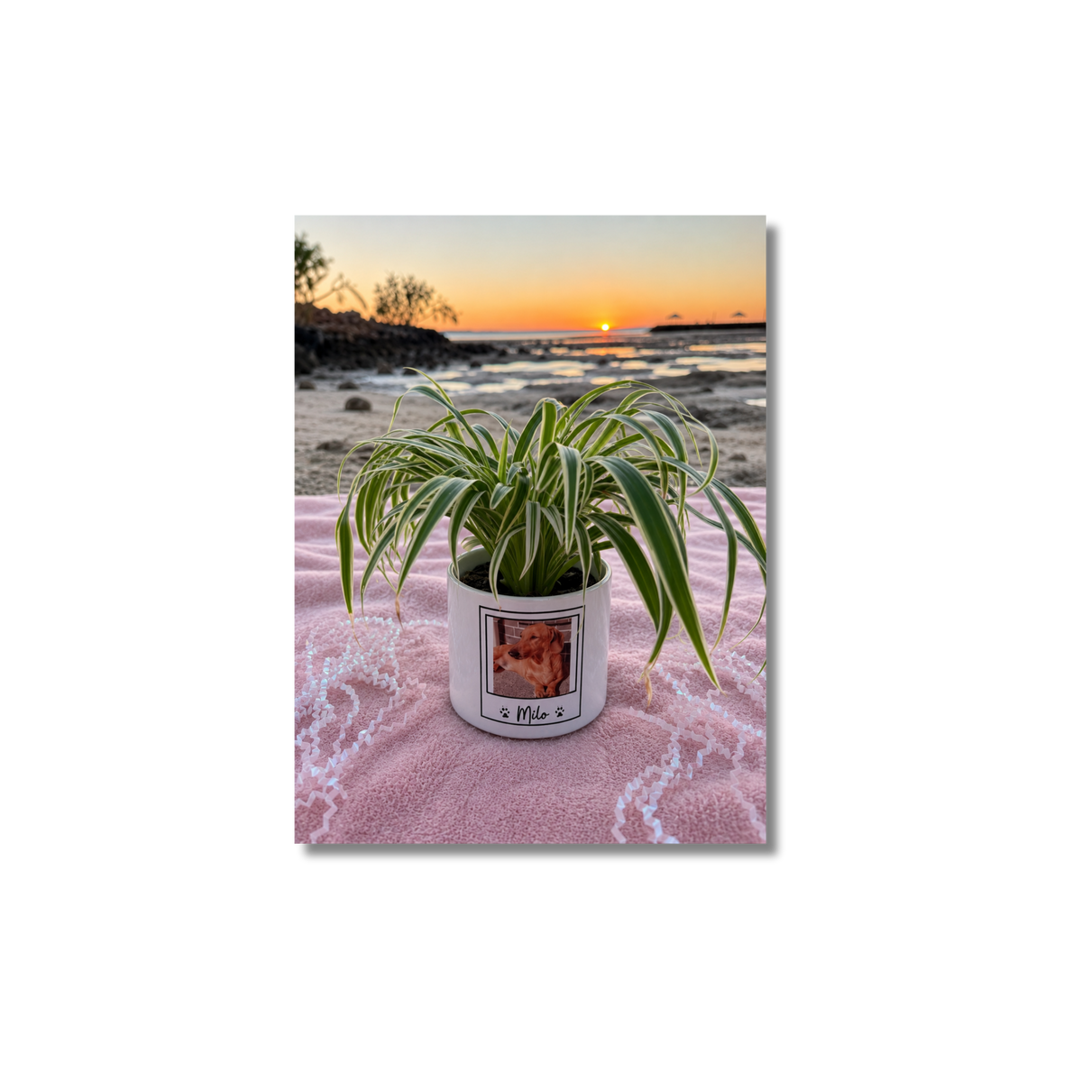 Personalised Memorial Planter | Custom Keepsake Gift