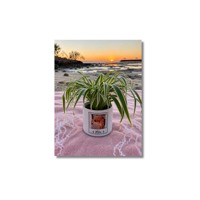 Personalised Memorial Planter | Custom Keepsake Gift